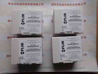 FLIR菲力尔 GS3-PGE-91S6M-C 工业相机