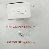   HAMAMATSU滨松  L15880  卤钨灯